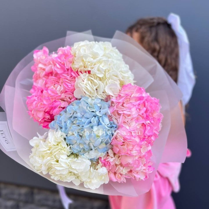 7 гортензий микс в Набережных Челнах
