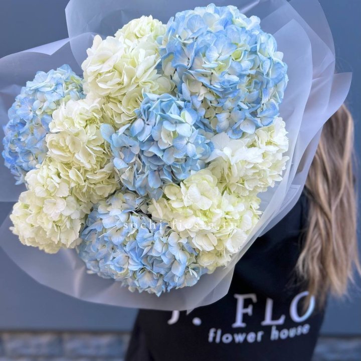 9 бело-голубых гортензий в Набережных Челнах