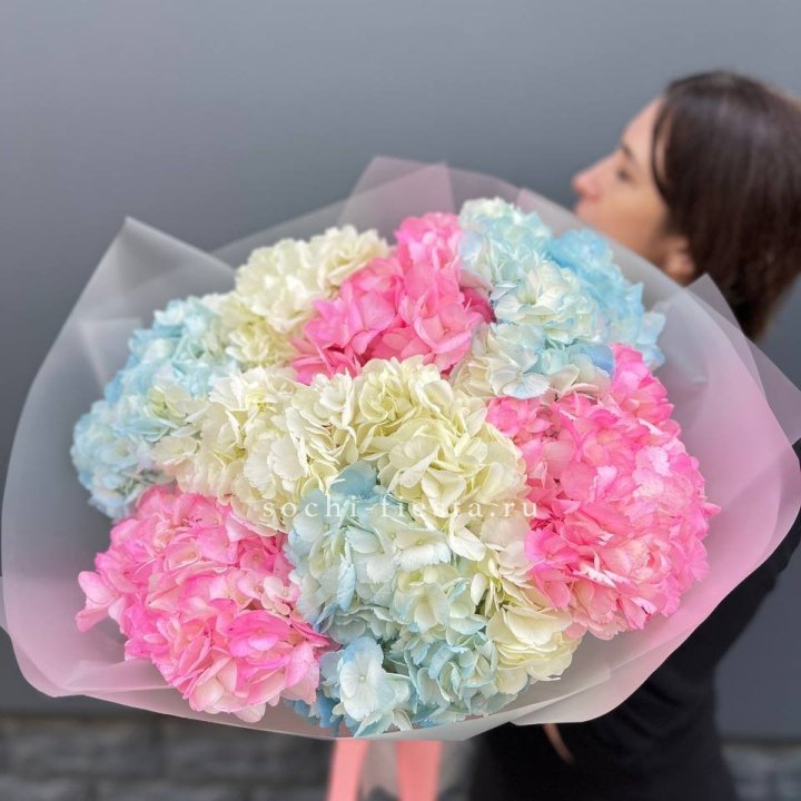 9 гортензий микс в Набережных Челнах