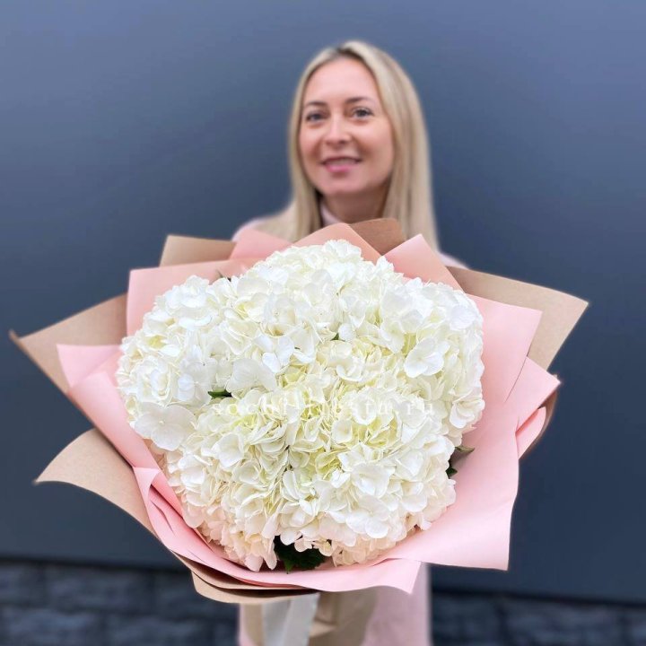 Гортензия белая в Набережных Челнах