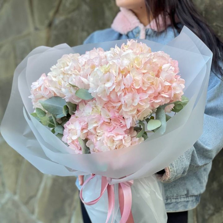 5 розовых гортензий в Набережных Челнах