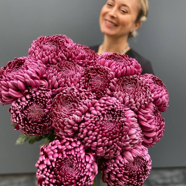 Охапка хризантем Бигуди в Набережных Челнах