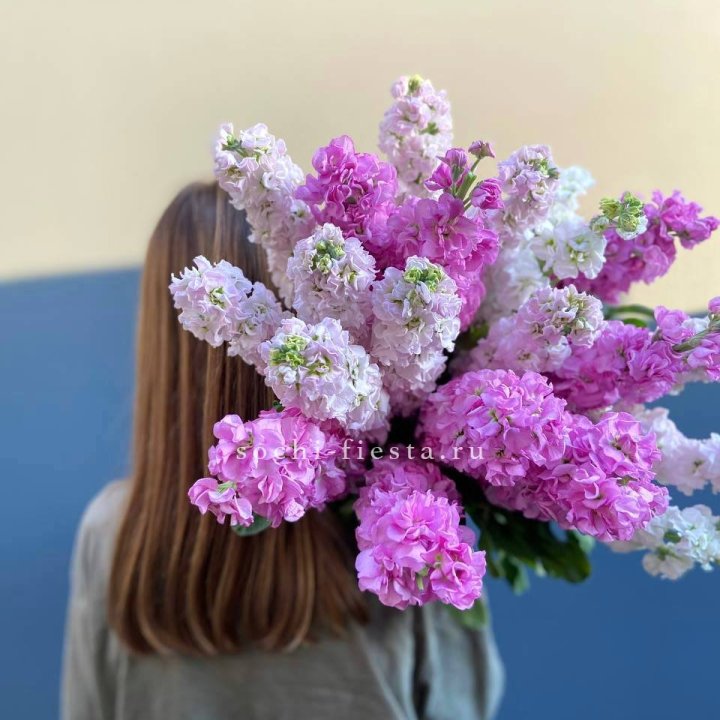 Охапка маттиолы в Набережных Челнах