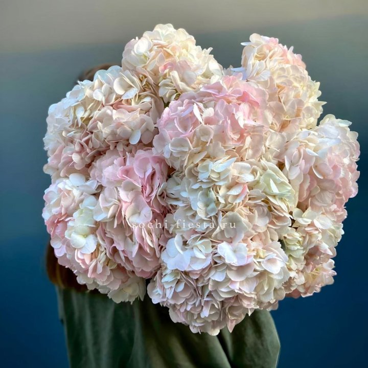 Охапка розовой гортензии в Набережных Челнах