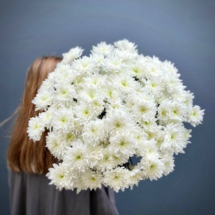 Охапка Хризантемы кустовой в Набережных Челнах