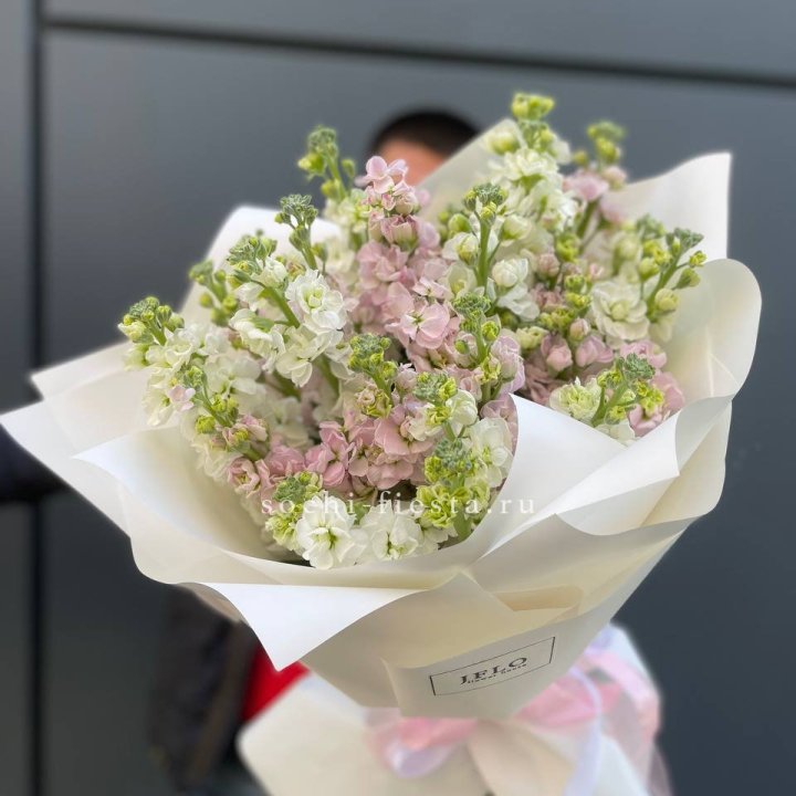 29 маттиол  в Набережных Челнах