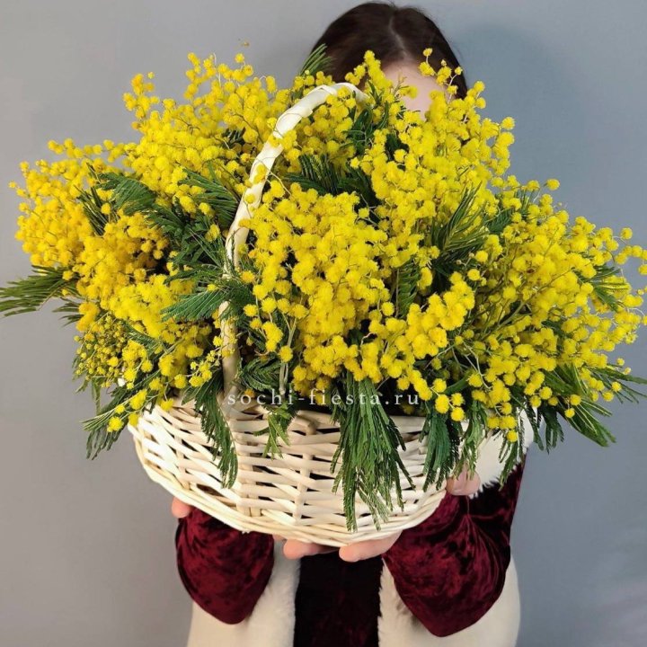 Корзина ароматной мимозы в Набережных Челнах