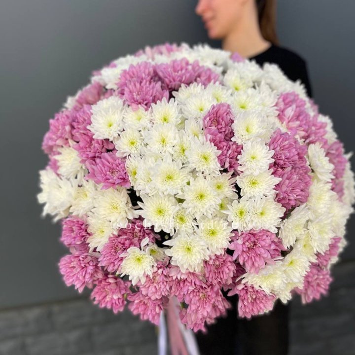  Букет 25 хризантем микс в Набережных Челнах