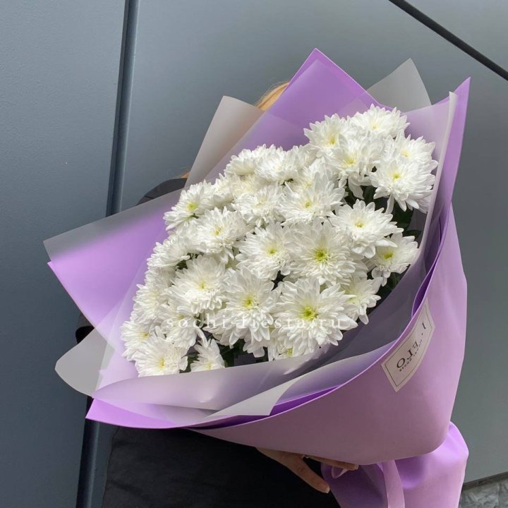  7 хризантем  в Набережных Челнах