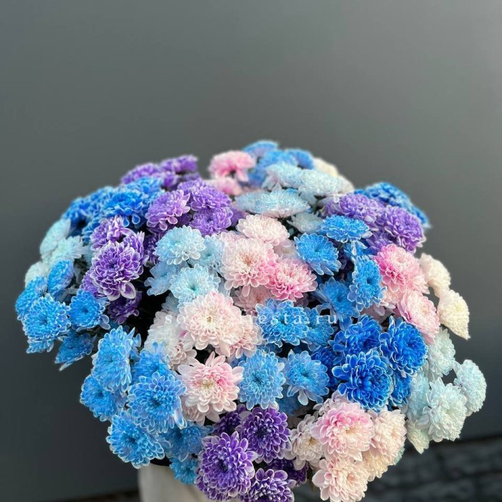 25 цветных хризантем в Набережных Челнах