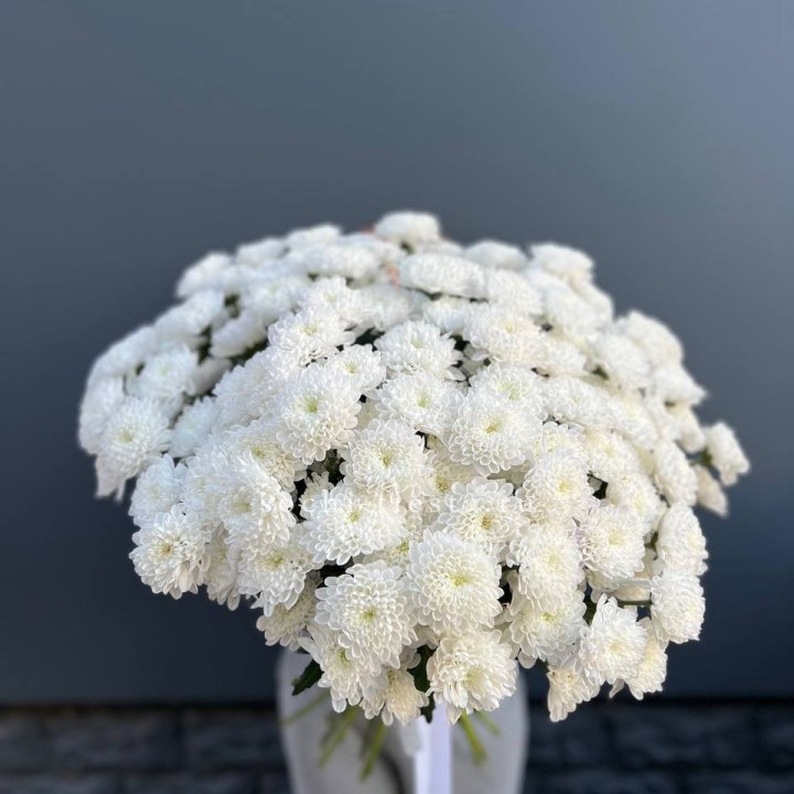  25 хризантем белых в Набережных Челнах