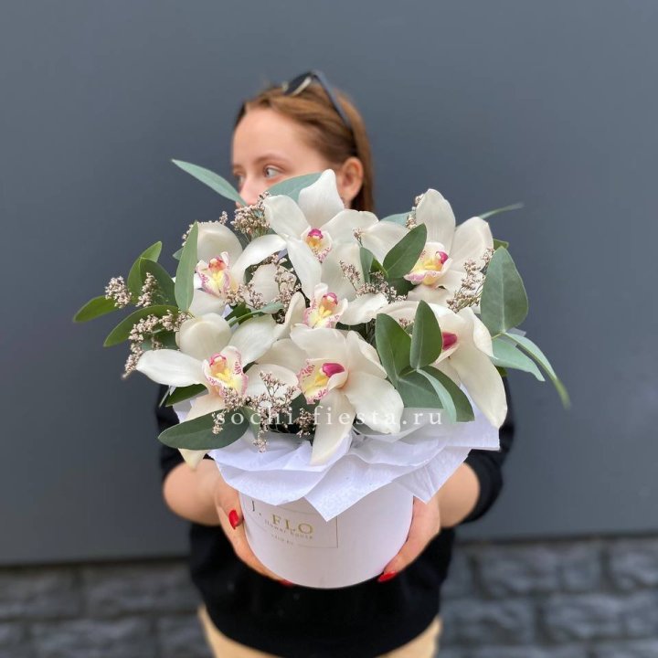 7 орхидей в боксе в Набережных Челнах