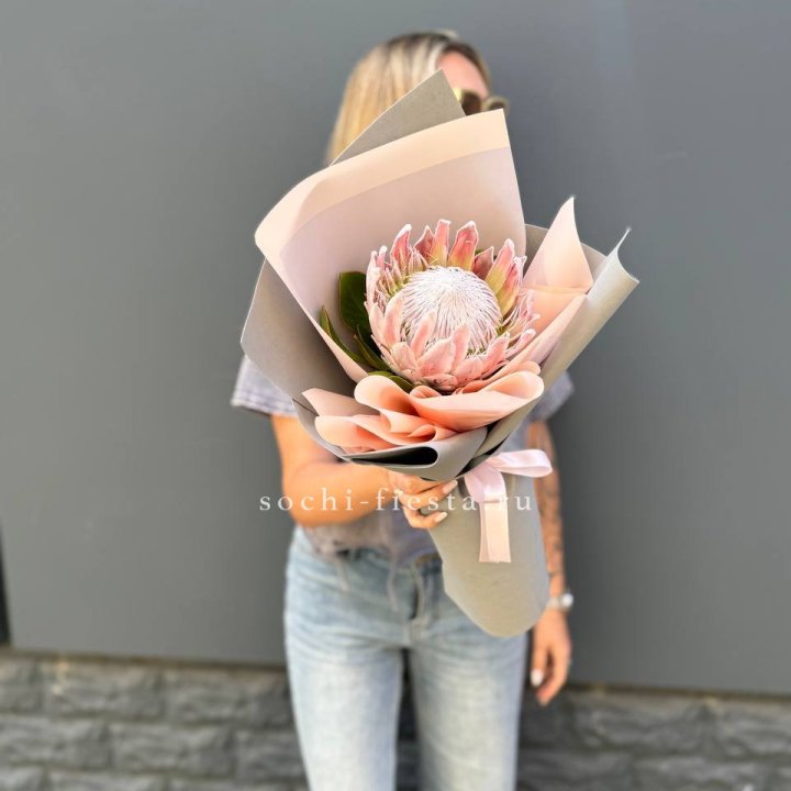 Протея мини  в Набережных Челнах