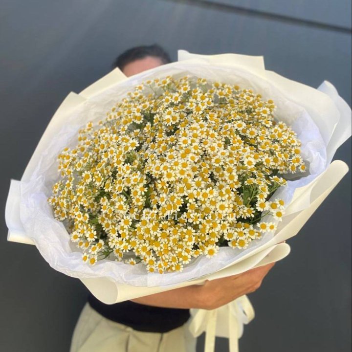Букет ромашек №2 в Набережных Челнах