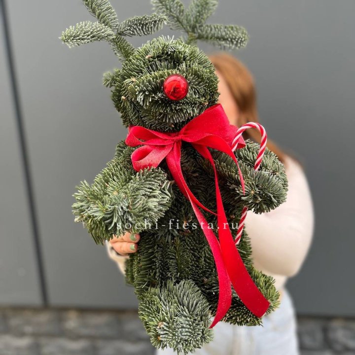 "Олень" из нобилиса в Набережных Челнах