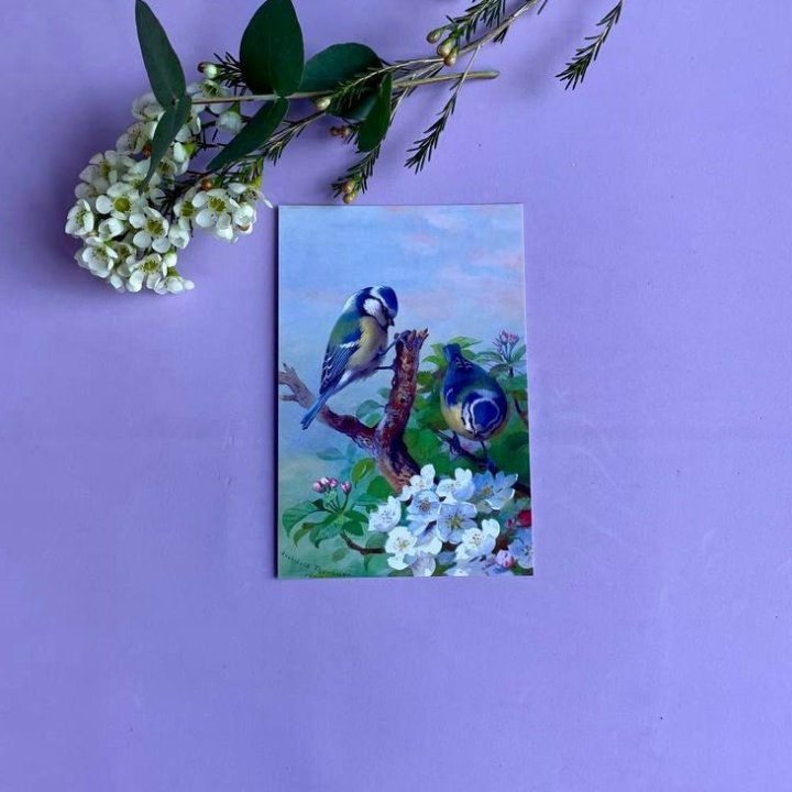 Открытка к букету "Птицы" в Набережных Челнах