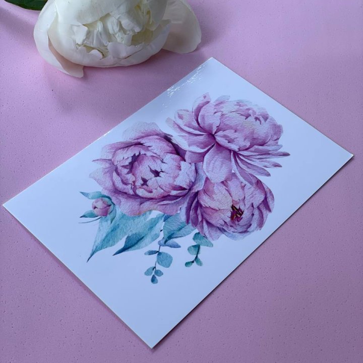 Открытка к букету "Пионы" в Набережных Челнах