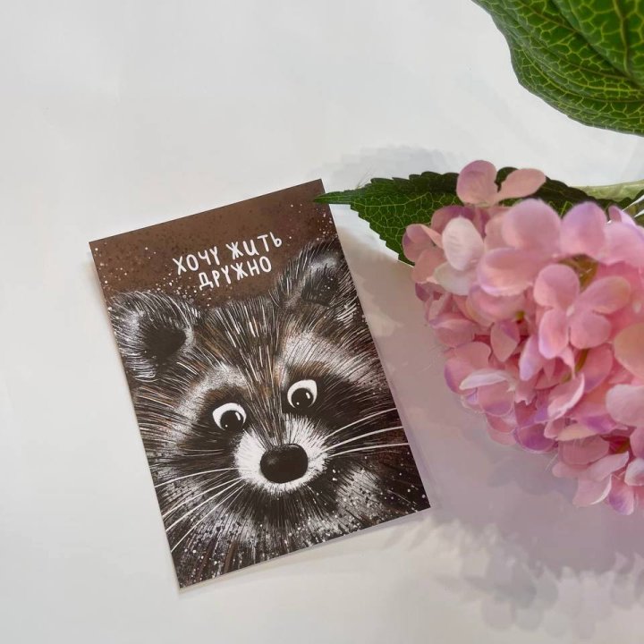 Открытка к букету "Енотик" в Набережных Челнах