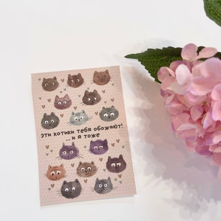 Открытка к букету "Котики" в Набережных Челнах