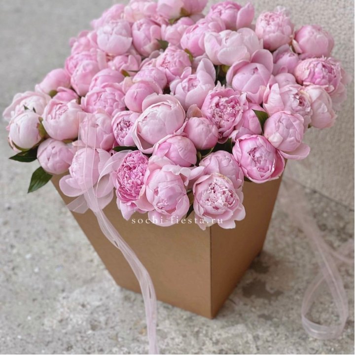 49 пионов в крафт коробке в Набережных Челнах