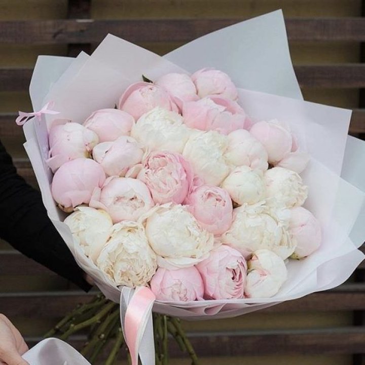 29 пионов в Набережных Челнах