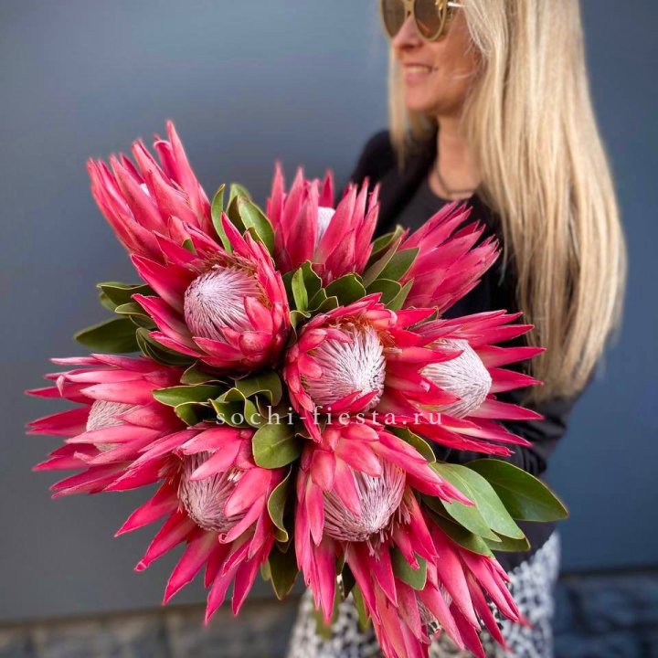 Протея штучно в Набережных Челнах