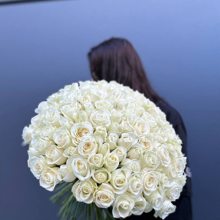 Охапка из 101 белой розы  в Набережных Челнах