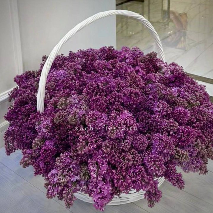 Корзина сирени в Набережных Челнах