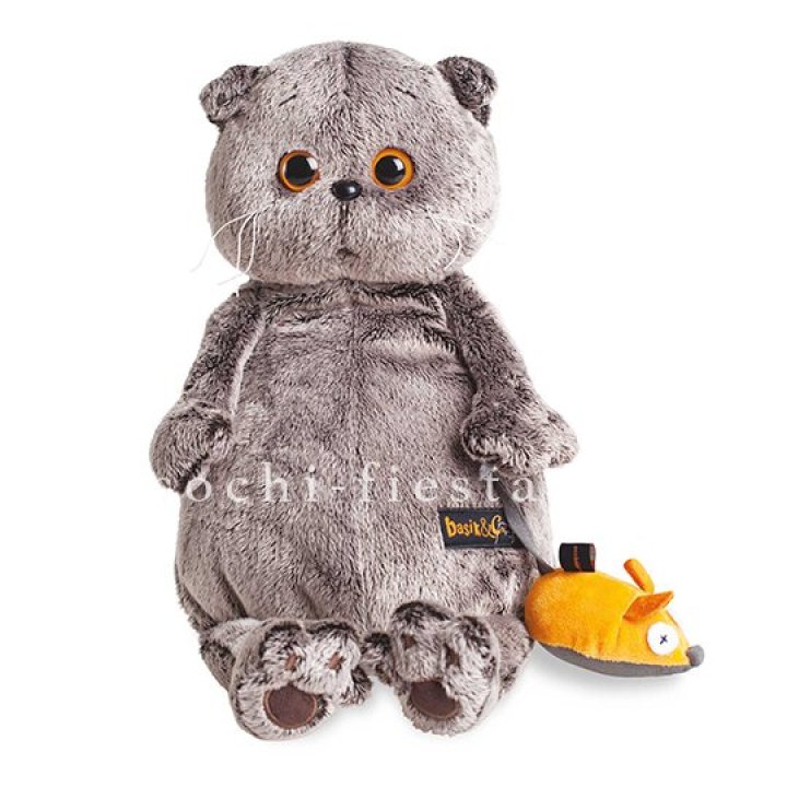 Кот Басик с мышкой в Набережных Челнах