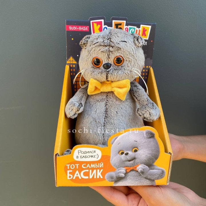 Кот Басик с бабочкой в Набережных Челнах