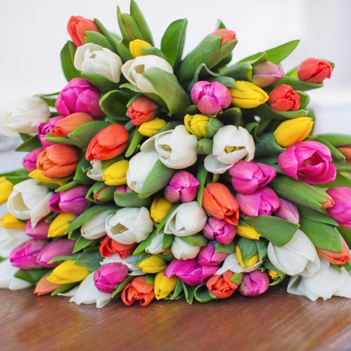 79 тюльпанов "Рандом" в Набережных Челнах