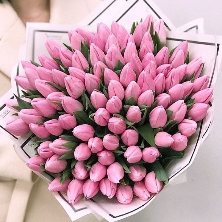 101 розовый тюльпан в белом в Набережных Челнах