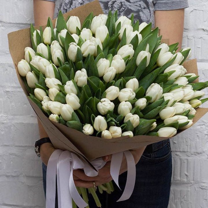 101 тюльпан сноу в Набережных Челнах