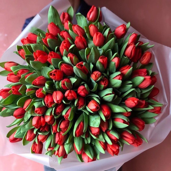 101 красный тюльпан в Набережных Челнах